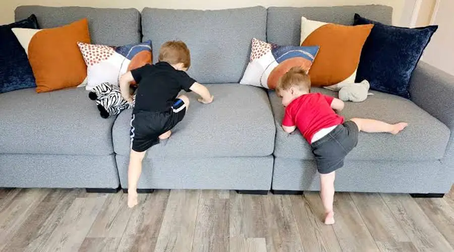 sofa cushions